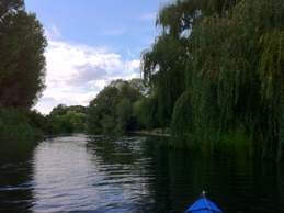 Nene River
        scenery