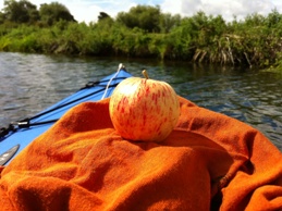 Yummy apple!